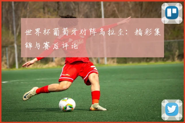 世界杯葡萄牙对阵乌拉圭:精彩集锦与赛后评论