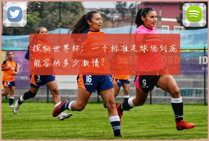 探秘世界杯：一个标准足球场到底能容纳多少激情？