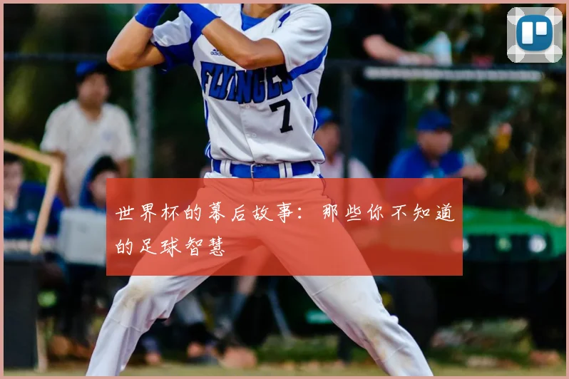 世界杯的幕后故事：那些你不知道的足球智慧