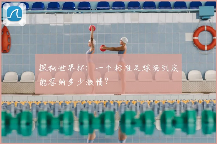 探秘世界杯：一个标准足球场到底能容纳多少激情？