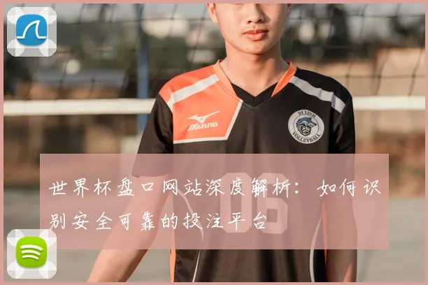 世界杯盘口网站深度解析：如何识别安全可靠的投注平台