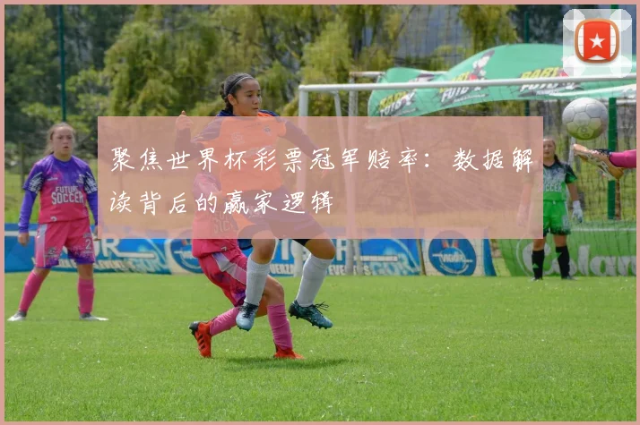 聚焦世界杯彩票冠军赔率：数据解读背后的赢家逻辑