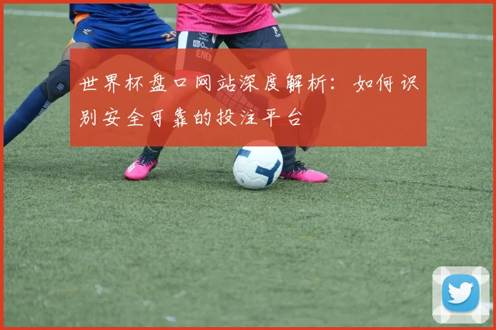 世界杯盘口网站深度解析：如何识别安全可靠的投注平台