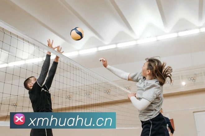 奇异果app官网入口APP 封面图